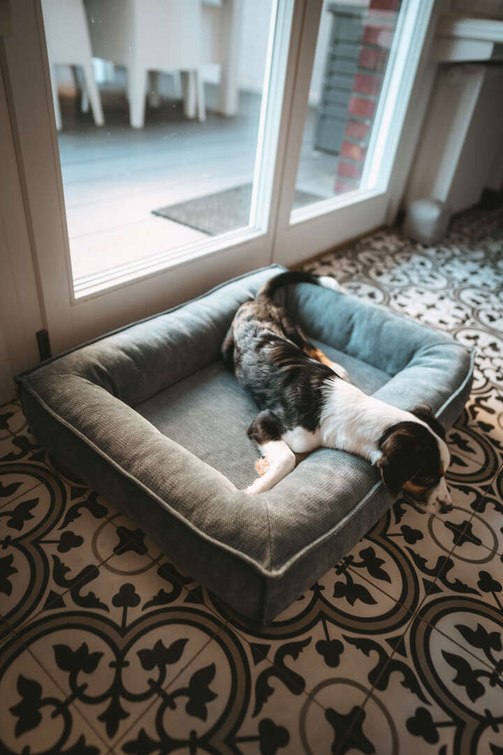 HUNTER Orthopädisches Hundebett Melun